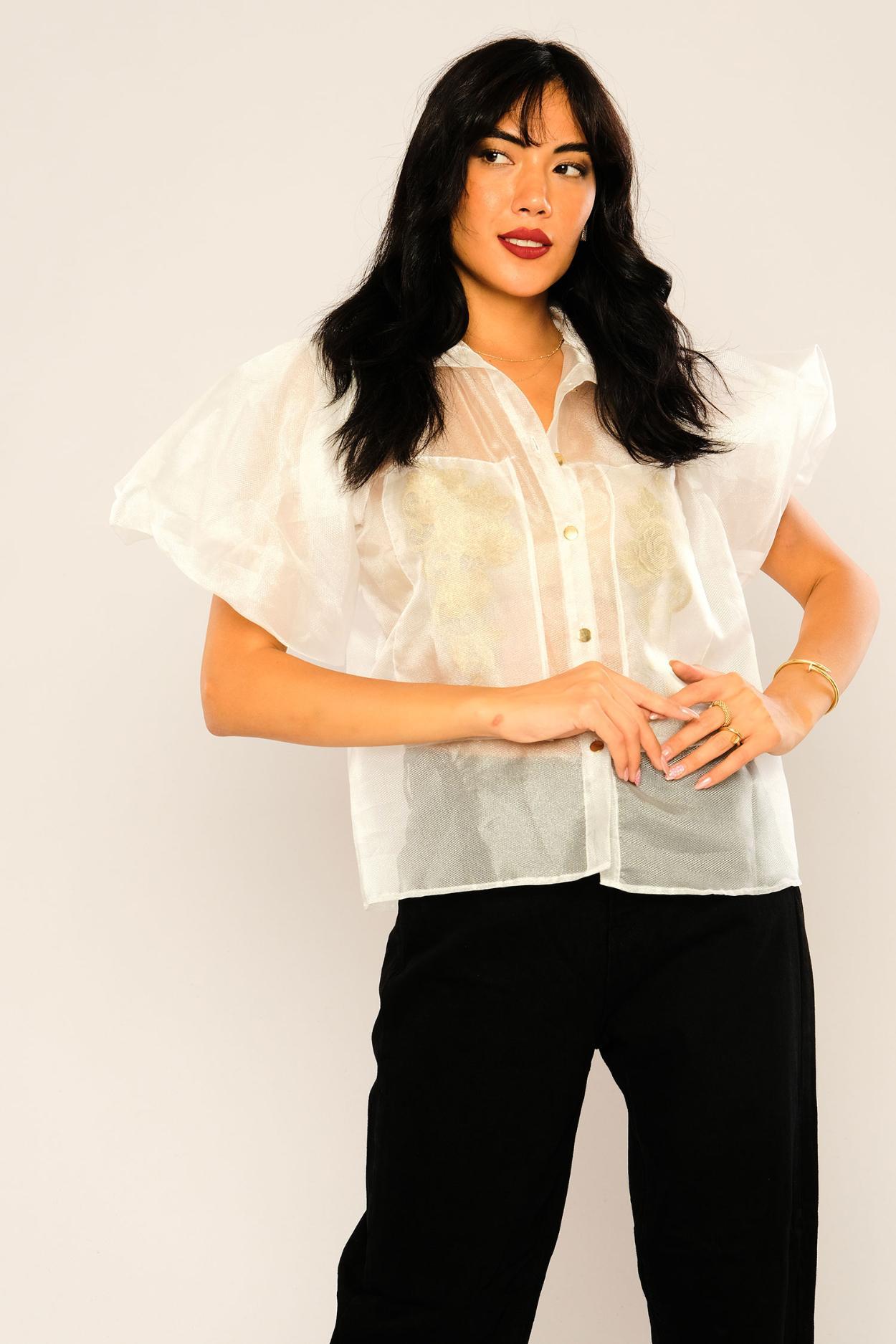 Transparent shirt with puff sleeves casual styled